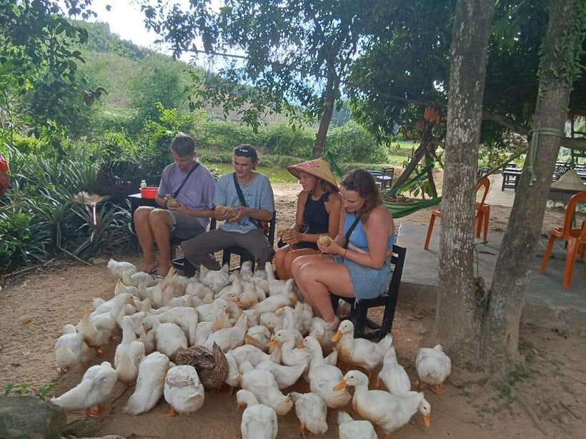 Cycling Through Countryside and Cooking Class in Duck Stop - Overview of the Tour Experience