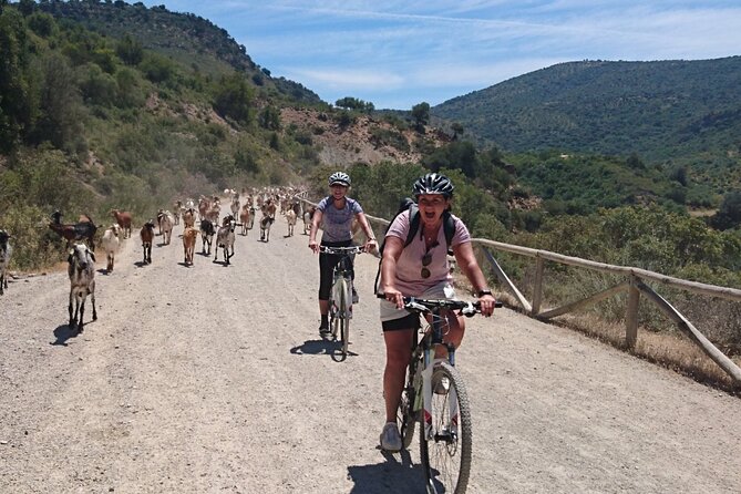 Cycling - via Verde De La Sierra - 36KM - Easy Level - Customer Feedback and Experiences
