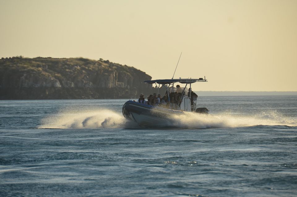 Cygnet Bay Island Explorer Scenic Cruise Experience - Description