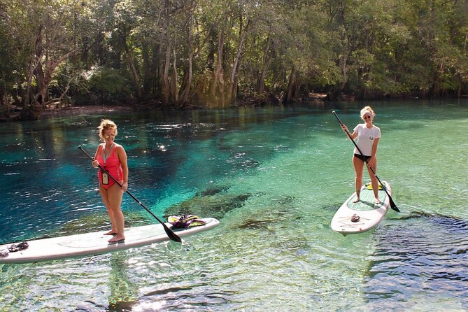 Cypress Springs Eco Adventure - Visitor Reviews