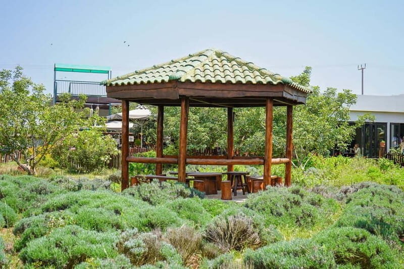 Cyprus: Herb Gardens and Maze in Cyherbia Botanical Park - Practical Tips