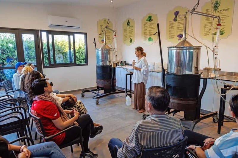 Cyprus: Herb Gardens and Maze in Cyherbia Botanical Park - The Sum Up
