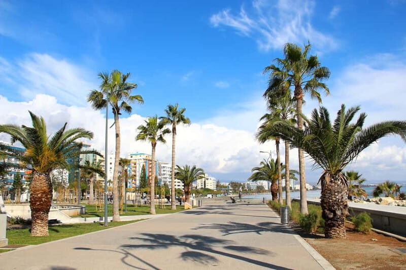 Cypruss History and Charm: Full-DayPrivate Tour from Paphos - Key Points