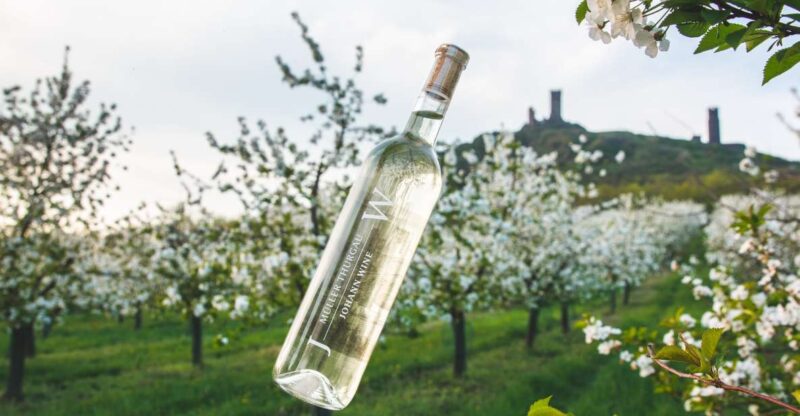 Czech Vineyards and Wine Tasting 4WD Tour With Lunch - Itinerary and Experience