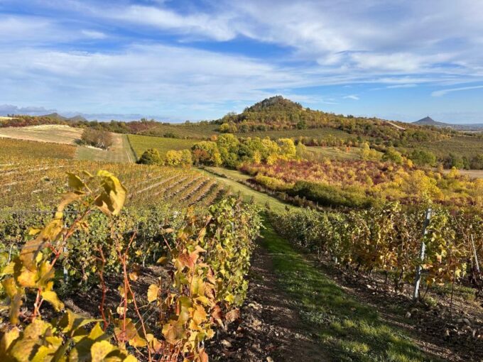 Czech Vineyards and Wine Tasting 4WD Tour With Lunch - Scenic Countryside and Castles