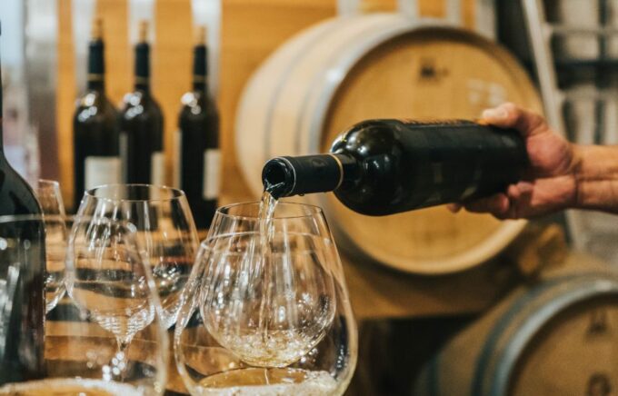 Czech Vineyards and Wine Tasting 4WD Tour With Lunch - Intimate Group Experience