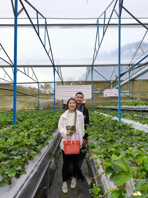 Da Lat City Tour: 2 Waterfalls - Top Tourist Sights - Indulging in a Delectable Vietnamese Lunch