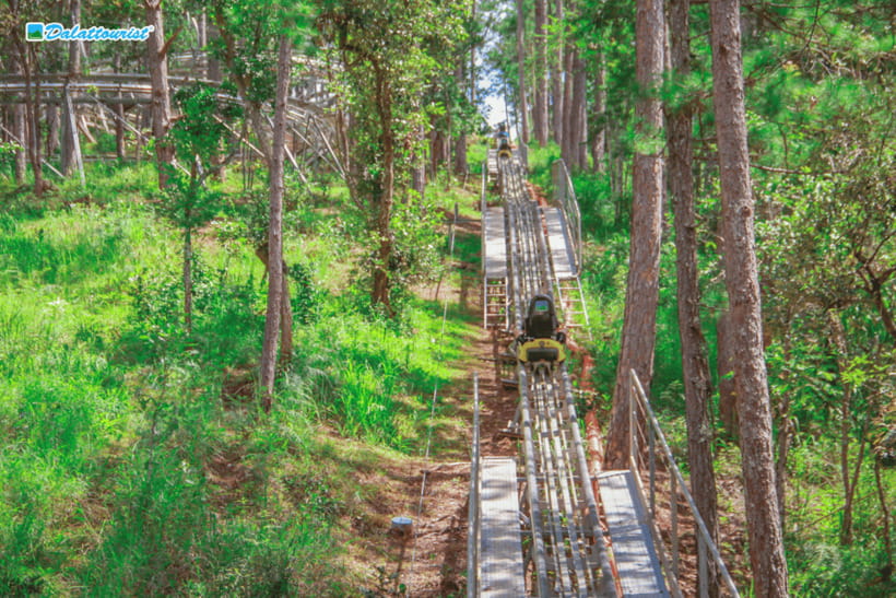 Da Lat: Datanla New Alpine Coaster Experience Entry Ticket - Key Points