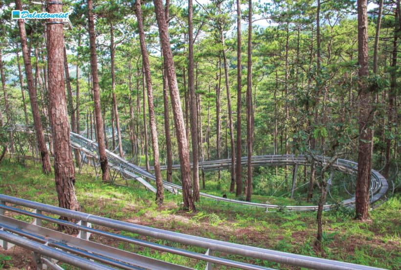 Da Lat: Datanla New Alpine Coaster Experience Entry Ticket - Ticket Information and Pricing