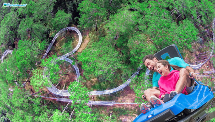 Da Lat: Datanla New Alpine Coaster Experience Entry Ticket - Meeting Point and Redemption