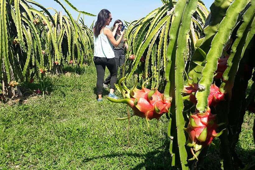 DA LAT LOOP Tour With Private Car - Frequently Asked Questions