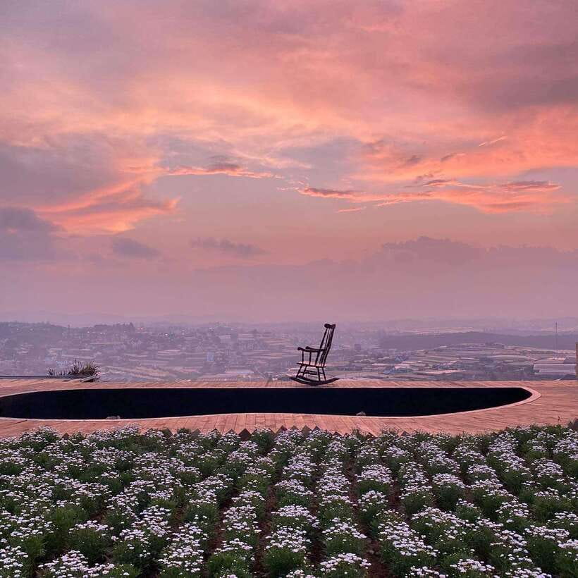 Da Lat: Sunrise Panorama, Green Tea Hill and Strawberry Farm - Key Points