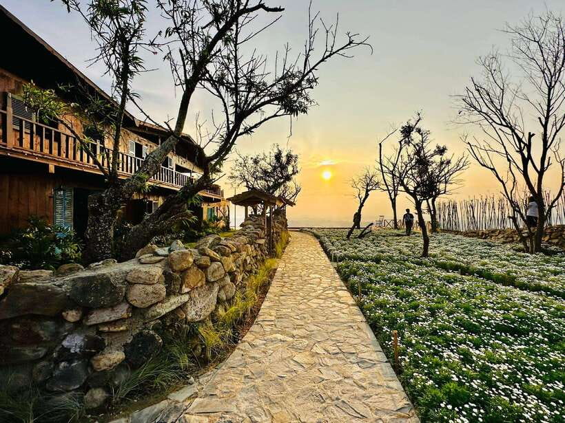 Da Lat: Sunrise Panorama, Green Tea Hill and Strawberry Farm - Thrilling Outdoor Activities