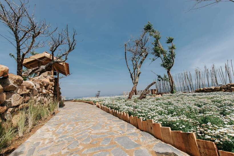 Da Lat: Sunrise Panorama, Green Tea Hill and Strawberry Farm - Breakfast and Drink Promotion