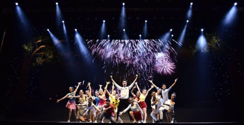 Da Nang: Charming Da Nang Show Ticket - Customer Feedback and Ratings