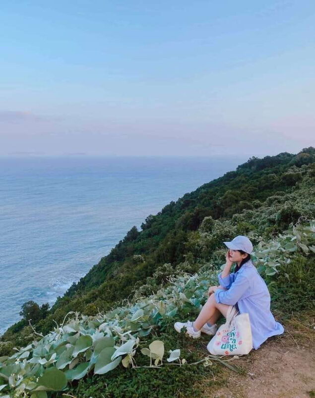 Da Nang City Countryside Son Tra Peninsula Hai Van Pass Tour - Key Points