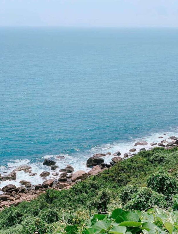 Da Nang City Countryside Son Tra Peninsula Hai Van Pass Tour - Tour Inclusions and Exclusions