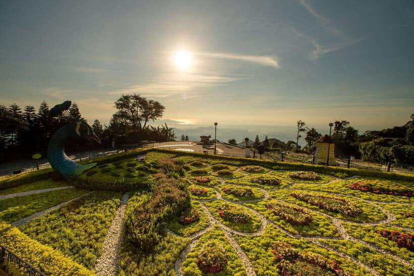 Da Nang: Golden Bridge (Ba Na Hill) W Guide and Transport - Important Information for Travelers