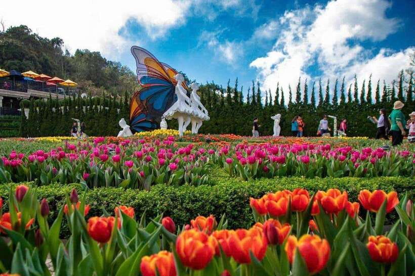Da Nang/Hoi An: Ba Na Hills &Golden Bridge& Cable Car - Inclusions and Additional Options
