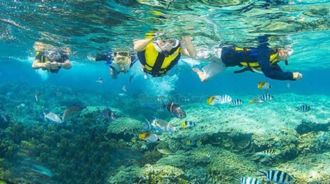 Da Nang/Hoi An: Cham Island W Snorkeling Trip/Scuba Diving - Departure and Arrival