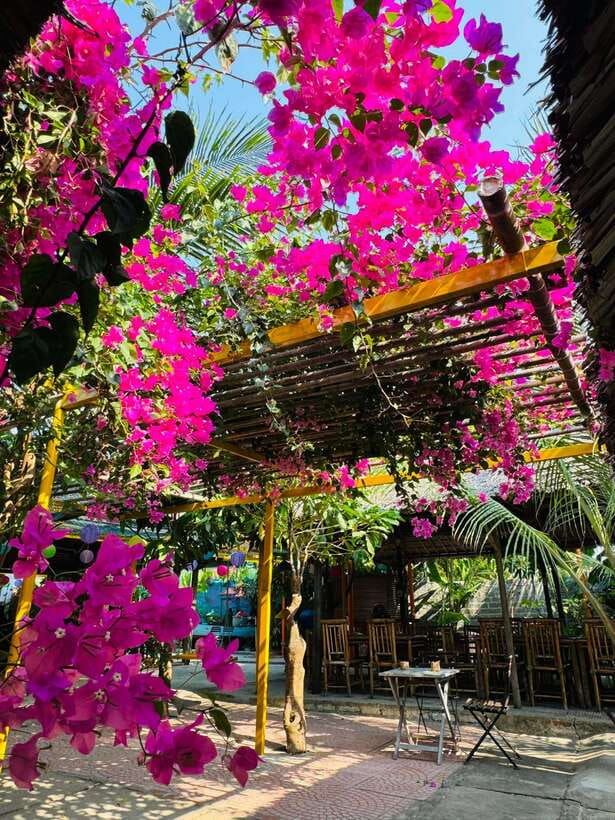 Da Nang: Marble Mountains, Hoi An, and Coconut Forest Tour - Tour Experience