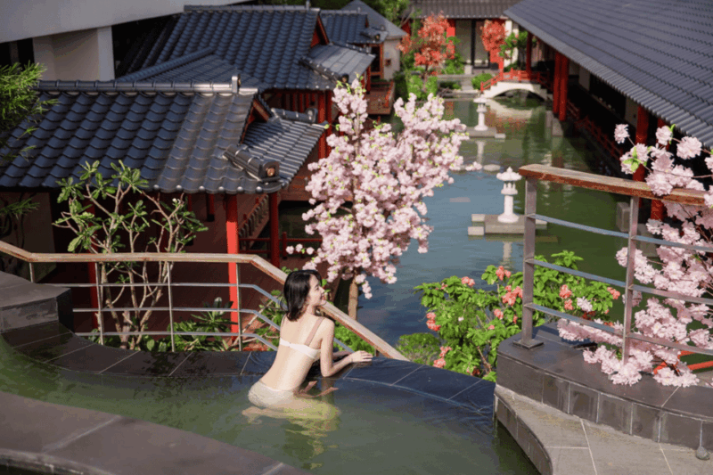 Da Nang: Mikazuki Water Park 365 With Onsen E-Ticket - Key Points