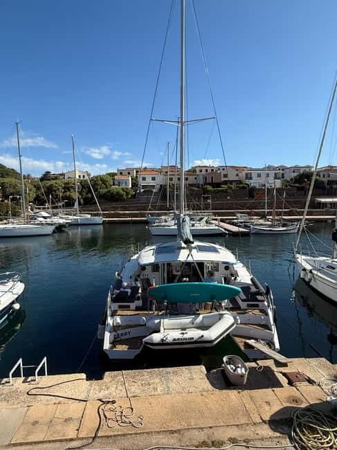 Da Stintino: Tour in catamarano Asinara Island - Departure and Arrival: Starting at Piazzale Guardia Costiera