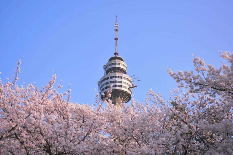 Daegu: Private Taxi Tour Car Charter - Key Points
