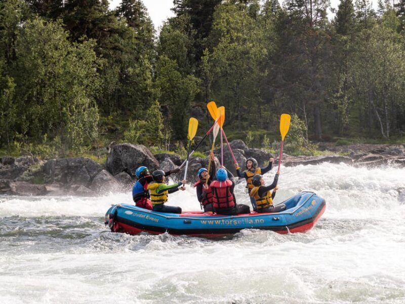 Dagali/Geilo: Family-Friendly Whitewater Rafting - level 1 - Who Will Love This Experience?