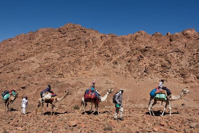 Dahab Blue Hole and Towailat Mountain - Booking and Cancellation Policy