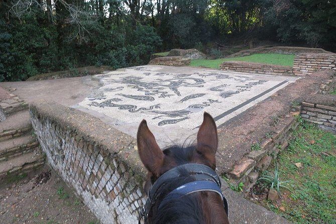 Daily Animals Lovers : Horseback ride with meals & wine included - Why This Tour Offers Real Value