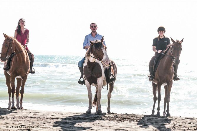 Daily Animals Lovers : Horseback ride with meals & wine included - Authentic Experiences and Top Highlights