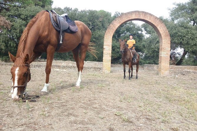 Daily Animals Lovers : Horseback ride with meals & wine included - Who Will Love This Tour?