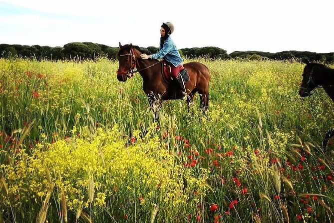 Daily Animals Lovers : Horseback ride with meals & wine included - Final Thoughts