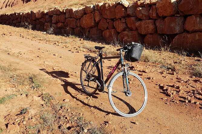 Daily Bike Rental Valencia - Customer Reviews and Ratings