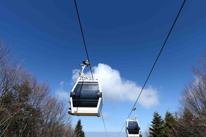 Daily Bursa Tour From Istanbul - Departure and Duration