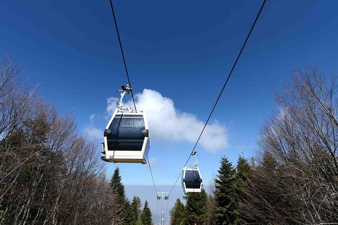 Daily Bursa Tour From Istanbul - Cable Car Ride to Mount Uludag