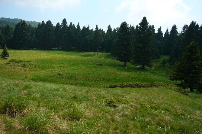 Daily Bursa Tour From Istanbul - Silk Market and Bazaar Stroll