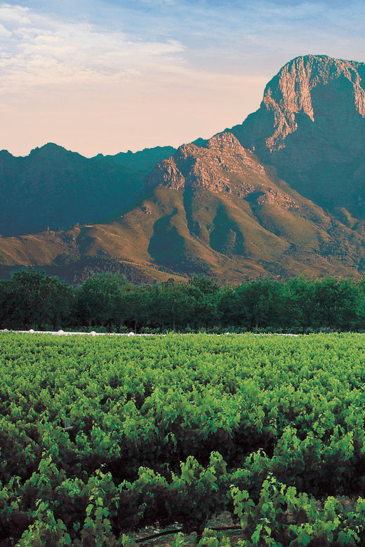 Daily Departures Franschhoek Tram Explorer Tour - Experience Highlights