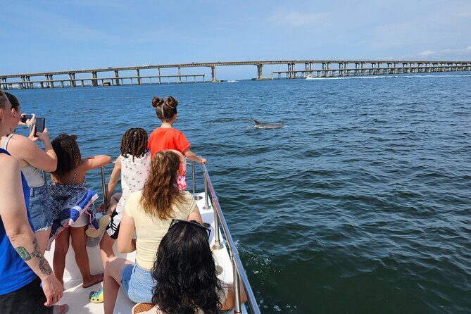Daily Dolphin Cruise + Sightseeing Tour on Pensacola Beach - Who Should Consider This Tour?