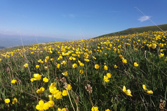 Daily Jeep Tour in Teghenyats Mountains - Inclusions and Pricing