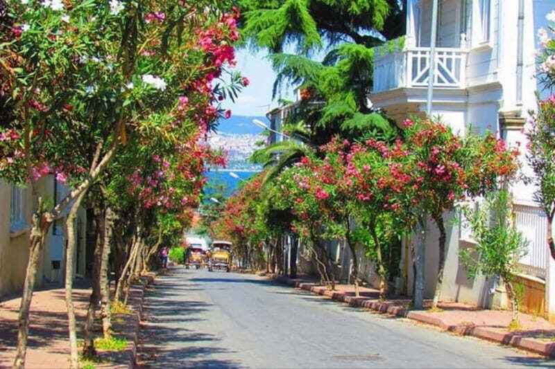 Daily Princes Island Tour from Istanbul - Exploring the Princes Islands from Istanbul: A Practical, Authentic Day Trip