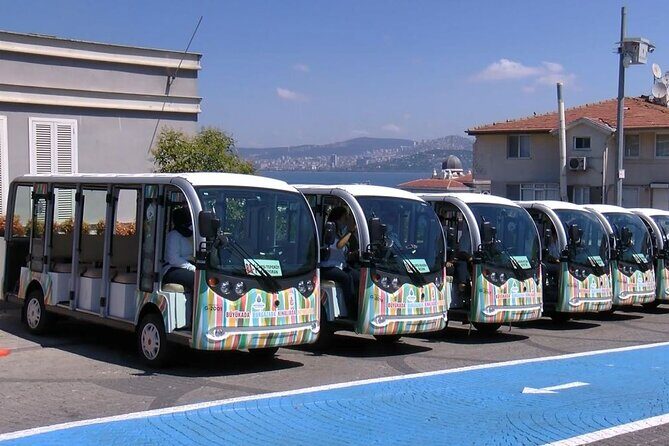 Daily Princes' Islands Tour with Lunch from Istanbul - A Detailed Look at the Princes’ Islands Tour