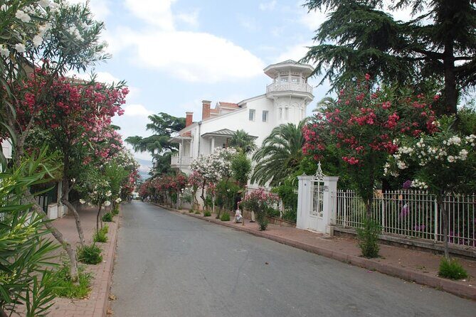 Daily Princes' Islands Tour with Lunch from Istanbul - Who Should Consider This Tour?