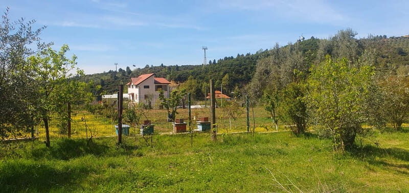 Daily Tour in Tirana - What to Expect from the Tirana Daily Tour
