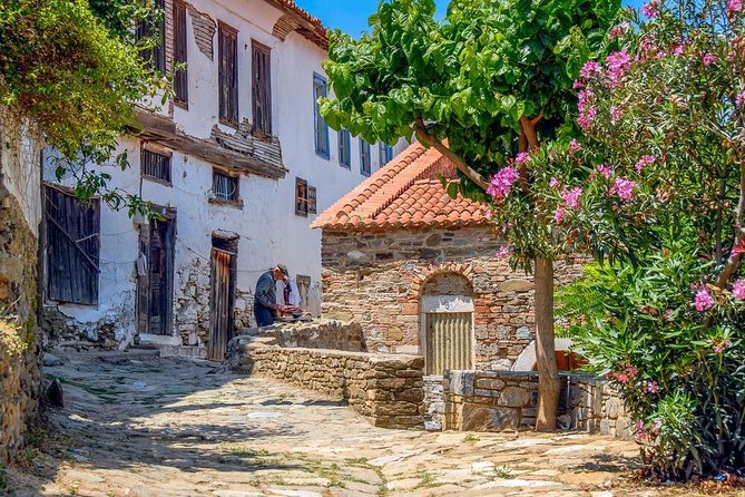 Daily Trip to Ephesus Ancient City, Sirince Village, Temple of Artemis - Ephesus Ancient City Exploration