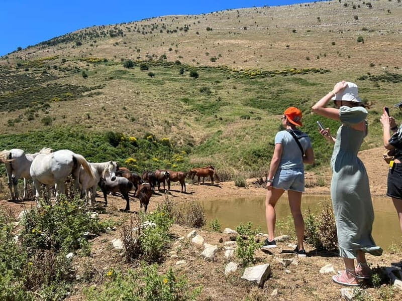 Daily Trip To:Blue Eye,Monastery,Gjirokaster&Lekursi Castle - A Full-Day Adventure in South Albania