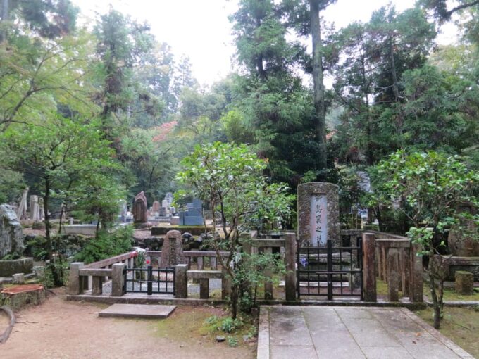 Daimonjiyama Hiking Tour: an Adventure Overlooking Kyoto - Booking Your Adventure