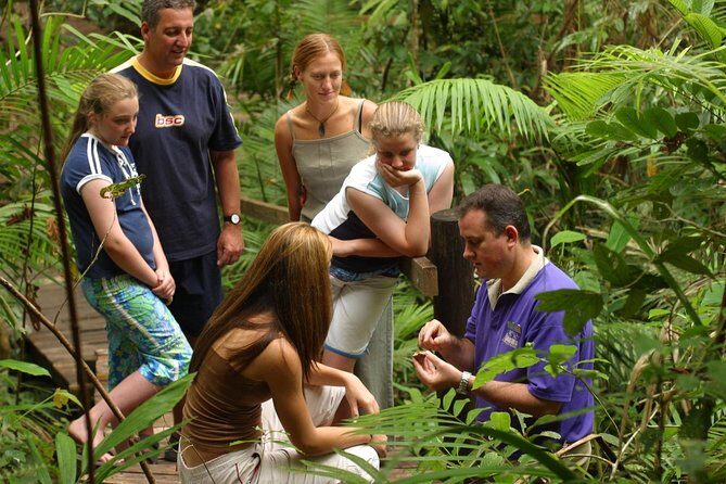 Daintree Discovery Centre Single Pass - FAQ