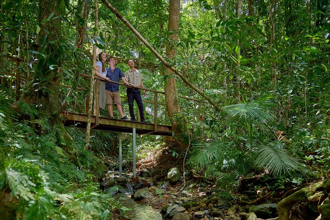 Daintree Rainforest and Cape Tribulation Day Tour From Cairns - Local Attractions to Explore
